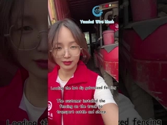 Panneau de clôture triangulaire en treillis métallique décoratif, haute sécurité, couleur personnalisée