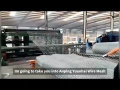 PVC / fil de fer galvanisé à chaud Gabion filet de fil pour la protection de pente