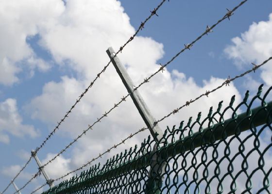 Hot-Dipped Galvanized Barbed Wire for Livestock and Security Fencing