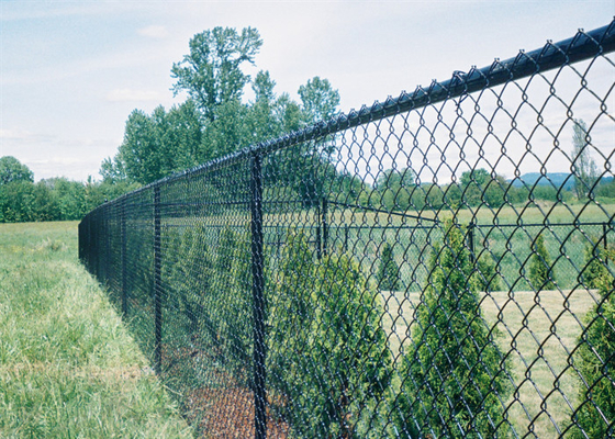 Chaud plongé a galvanisé la mesure provisoire 4.0mm de Mesh Fencing 9 pour la ferme