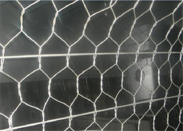 Double barrière de panier de la cage 60*80mm Gabion de pierre de rivière de torsion