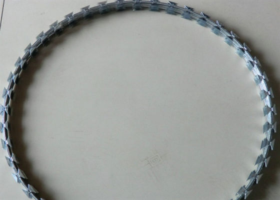 Le PVC de barbelé de bobine du rasoir Bto-22 a enduit le diamètre de 500mm pour la Chambre privée